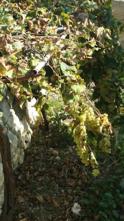 Sole E Fiori Di Sicilia Lägenhet Valderice Exteriör bild