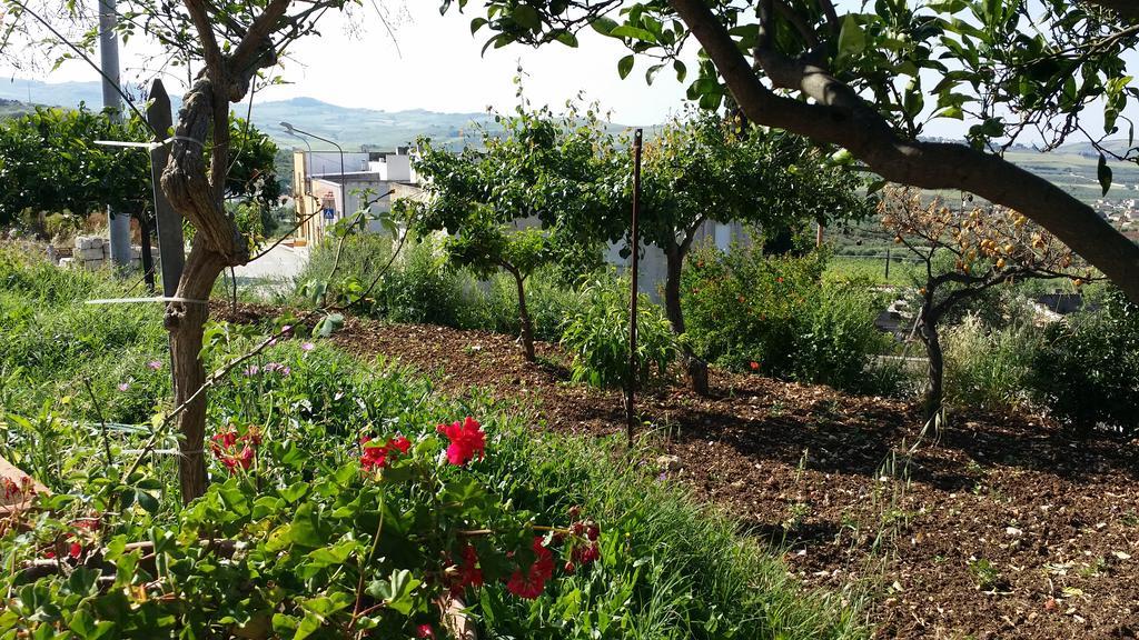 Sole E Fiori Di Sicilia Lägenhet Valderice Exteriör bild